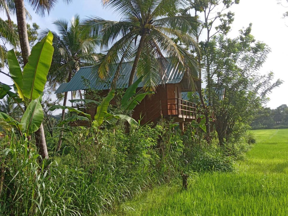 Willa Sigiriya Paddy Field Hut Zewnętrze zdjęcie