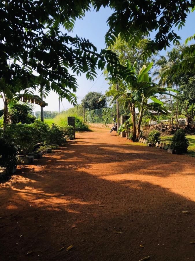 Willa Sigiriya Paddy Field Hut Zewnętrze zdjęcie