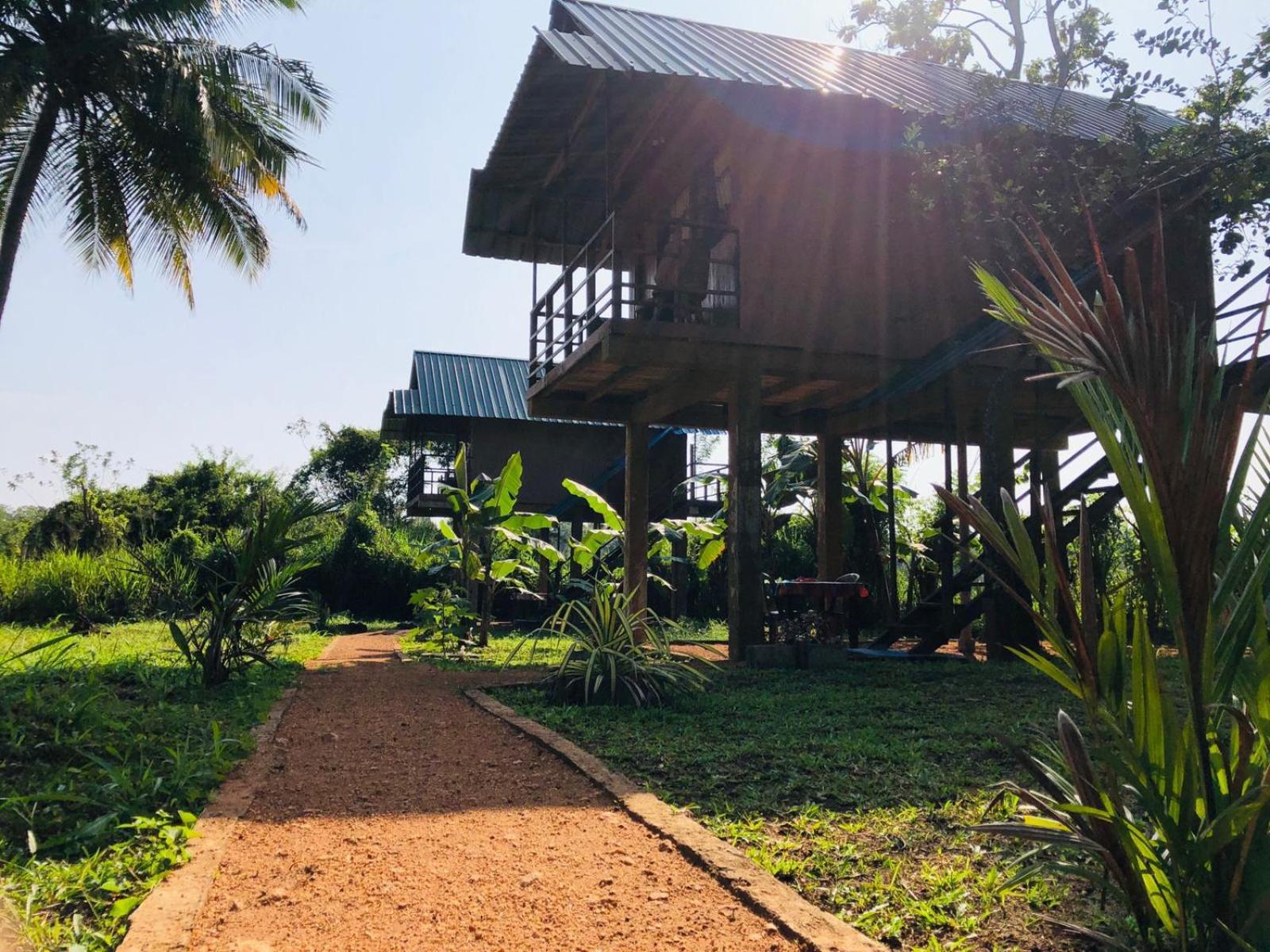 Willa Sigiriya Paddy Field Hut Pokój zdjęcie