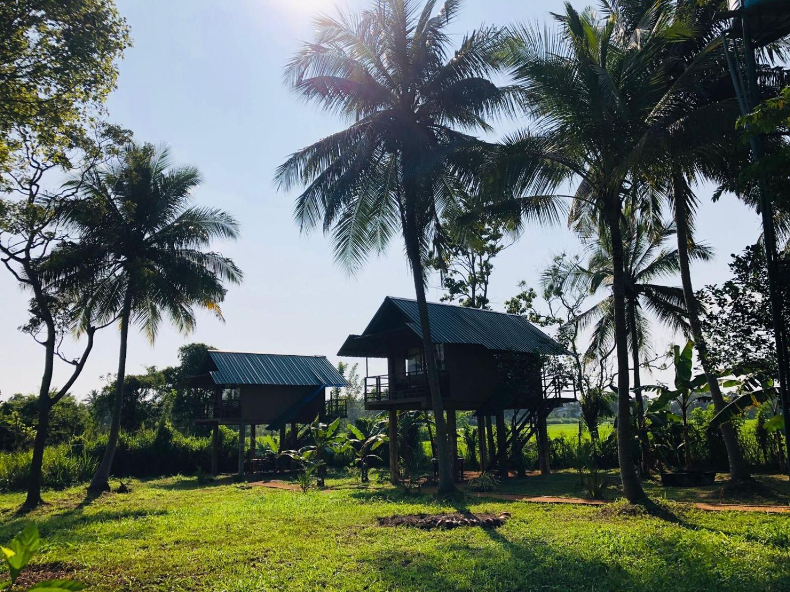 Willa Sigiriya Paddy Field Hut Pokój zdjęcie